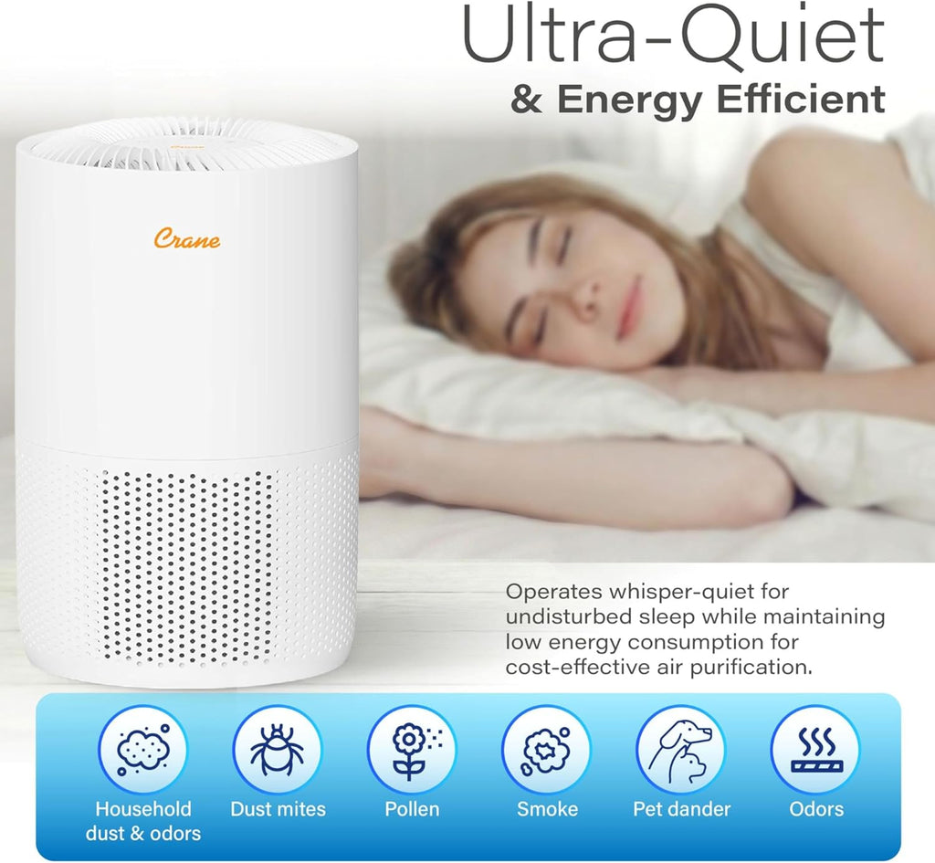 True HEPA Air Purifiers for Home, Up To 300 Sq Ft, Air Purifiers For Bedroom, and Office, Removes Du