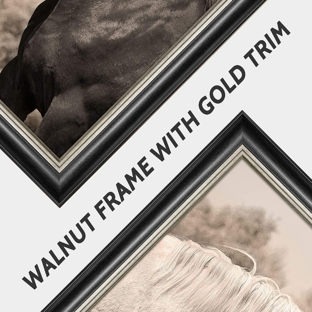 Country Horse Canvas Wall Art: Black Framed Couple Horses Office Painting White Elegant Steeds Portrait Prints Farm