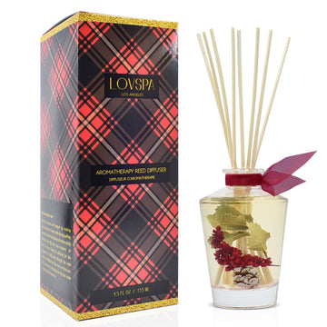 Reed Diffuser Set, Holiday Red Currant & Woods Scented Oil Diffuser with Sticks, Home Fragrance Accessories Shelf