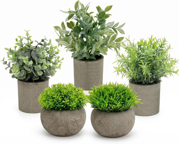 Artificial Potted Plants Faux Greenery in Cement Pots for Shelf, Bookshelf, Office or Home Decor, Small Decorative