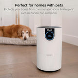 Air Purifier for Home, Clean Sense, HEPA-Exceeding Filter, Captures Pollutants, Pet Dander, Dust, Od