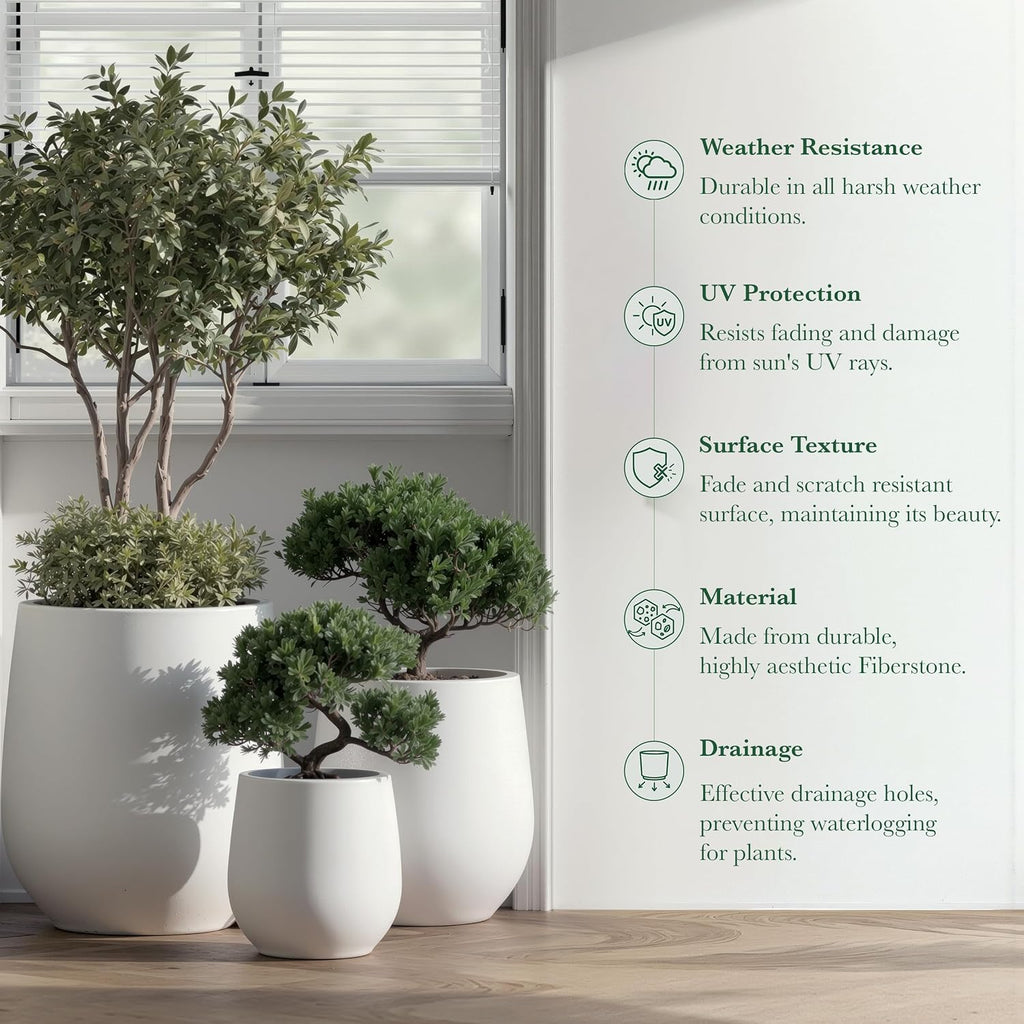 Premium Mt Wilson Tall Tapered Fiberstone Planter for Indoor Outdoor Use, Modern Large Olive Tree Pot with Drainage