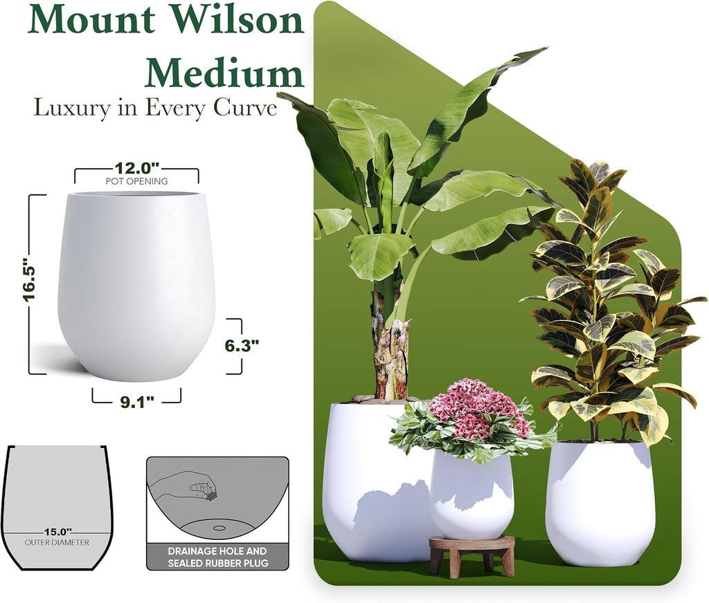 Premium Mt Wilson Tall Tapered Fiberstone Planter for Indoor Outdoor Use, Modern Large Olive Tree Pot with Drainage