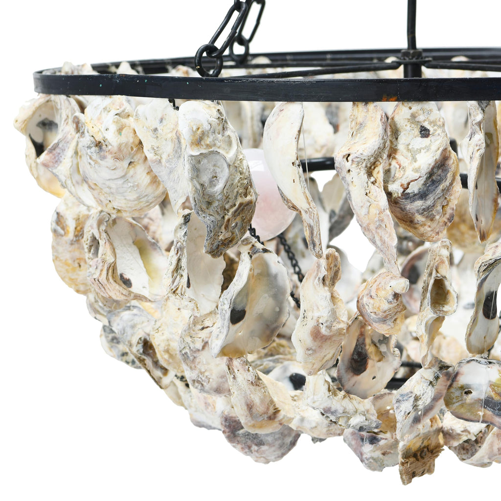 Round Oyster Shell Chandelier with 2 Lights