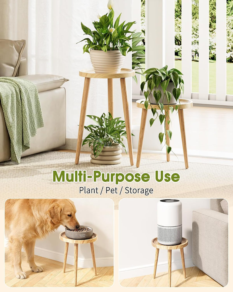 Plant Stand Indoor 2 Pack, Mid Century Wood Indoor Plant Stands, Tall Plant Holder for Flower Pot, Modern Plant Table