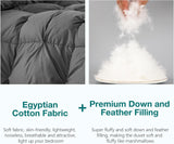 Pinch Pleat Goose Down Feathers Fiber Comforter Full/Queen All Season-Ultra Soft and Cozy Noiseless 