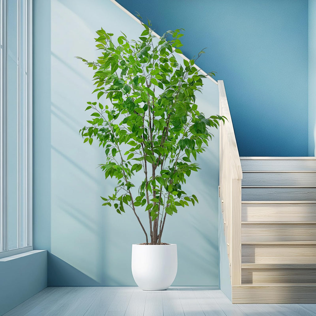 7ft Artificial Ficus Tree with White Plastic Planter
