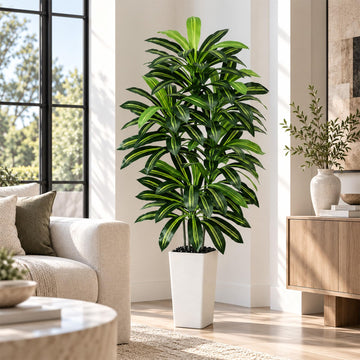 Artificial Dracaena Tree 6FT / White Planter, Tall Plants Indoor