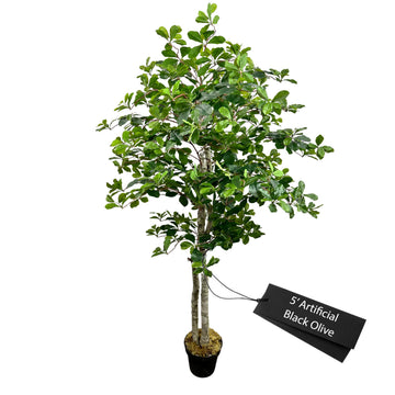 Handmade 5ft Italian Black Olive Artificial Tree with Ethically Sourced Real Wood Trunks, Hypoallergenic, 5-Foot