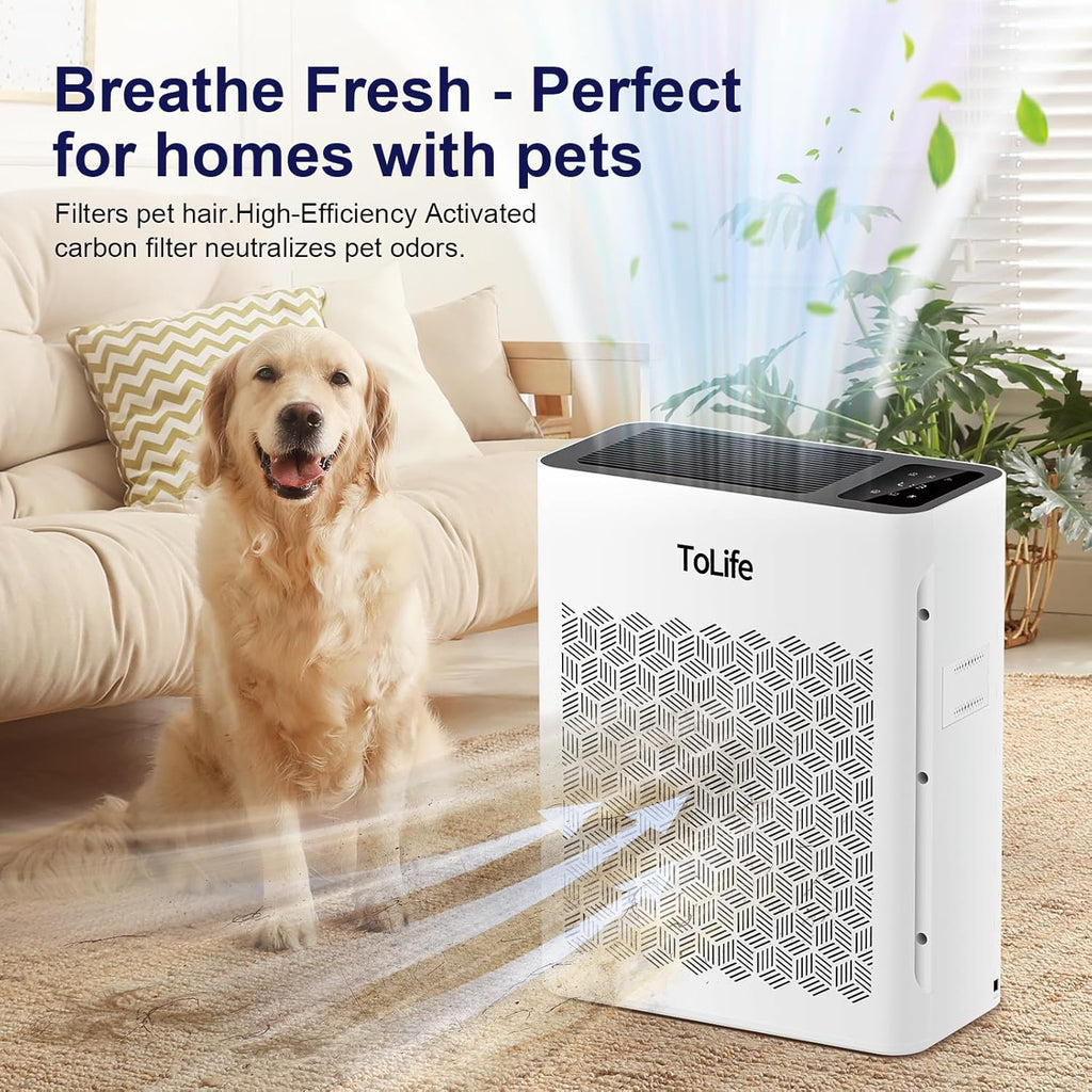 Air Purifier Large Room, HEPA Air Purifiers for Home Pets Hair with Washable Filter, Air Cleaner for