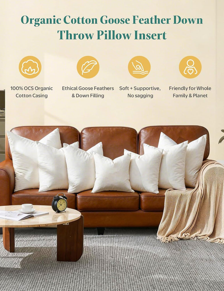 Goose Feather Down Throw Pillow Inserts 22x22 Inch - Set of 2