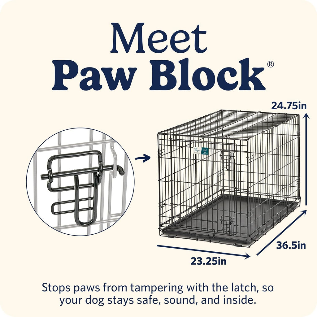 Intermediate LifeStages Single Door 36-Inch Folding Dog Crate, Enhanced Security, Includes Leak-Proof Pan