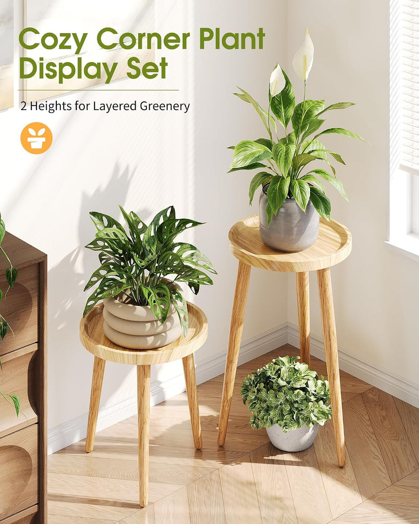 Plant Stand Indoor 2 Pack, Mid Century Wood Indoor Plant Stands, Tall Plant Holder for Flower Pot, Modern Plant Table