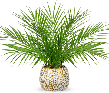 Fake Plants 15'' Faux Palm Plant in Gold-White Pot | Realistic Tropical Artificial Plants Indoor Farmhouse Mini Palm