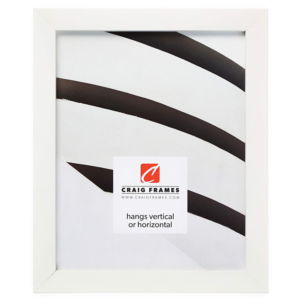 Frames Confetti, Modern White Picture Frame, 12 x 18 Inch