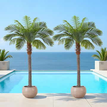 6FT Artificial Coconut Palm Set of 2, Faux Palm Tree in Pot