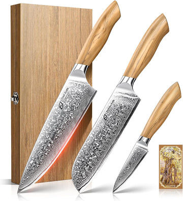 Damascus Kitchen Knife Set, 3 PCS Japanese Chef Knife Set, 67-Layers Damascus Knife with Original Olive Wood Handle