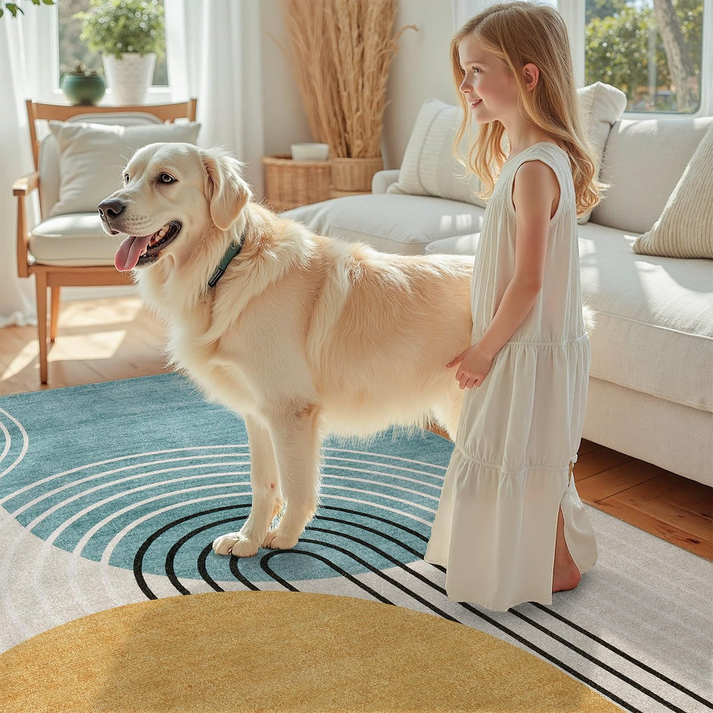 Abstract Machine Washable Rug, Mid Century Modern Rug for Living Room, Soft Low Pile Non Slip Carpet, Kid & Pet