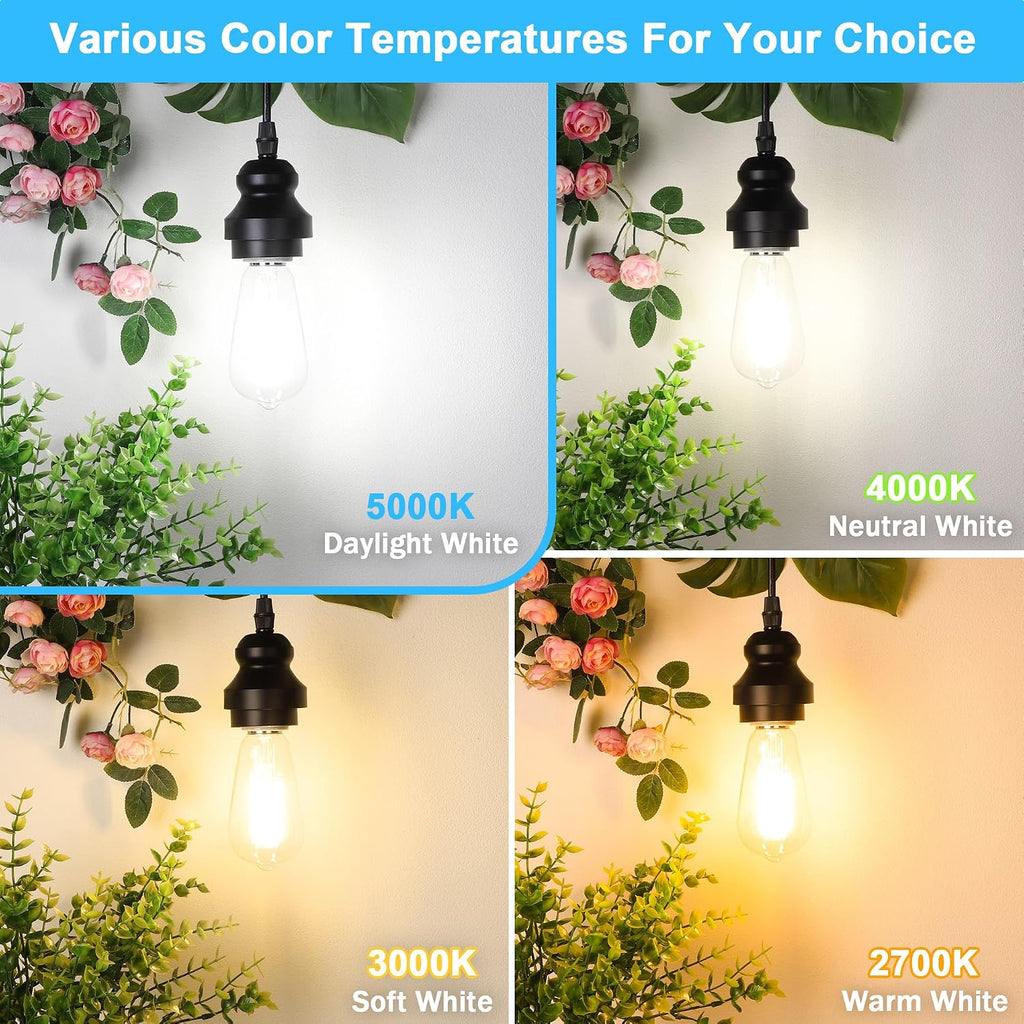 4-Pack Vintage Edison LED Bulbs, 60W Equivalent, 850LM 6W Edison Light Bulb Daylight White 5000K, ST58 LED Filament