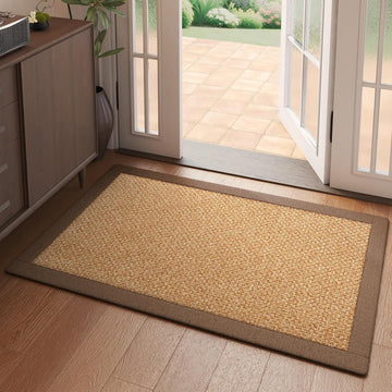 Indoor Entryway Area Rug Front Doormat Non Slip Absorbent Brown 2'x3'