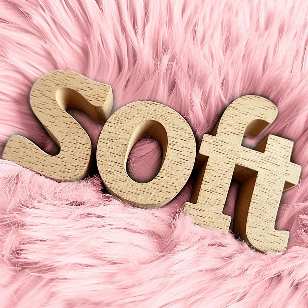 Pink Rugs for Bedroom, Ultra-Soft Fluffy Area Rugs for Living Room, Shag Carpet for Nursery, Kids, Girl, Boy, Baby, Plush, Fuzzy, Shaggy, Cute Home Decor