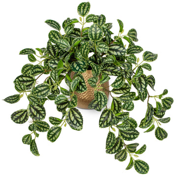 Faux Plants Indoor 17.7in Fake Watermelon Peperomia Plant in Gold Pot with Realistic Silk Green Leaves Artificial