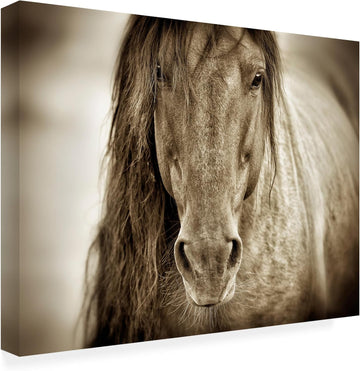Wrapped Canvas Wall Art - Lisa Dearing 'Mustang Sally Horse' Wall Art , or Office Décor - 18x24