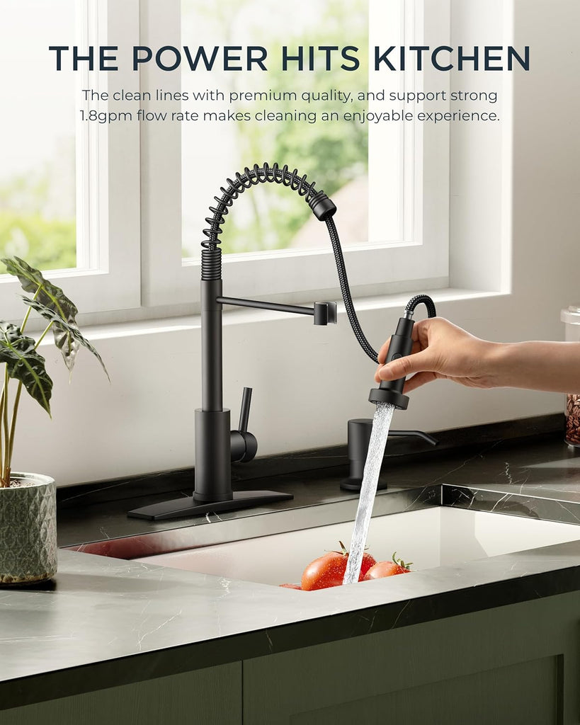 Black Kitchen Faucet with Pull Down Sprayer