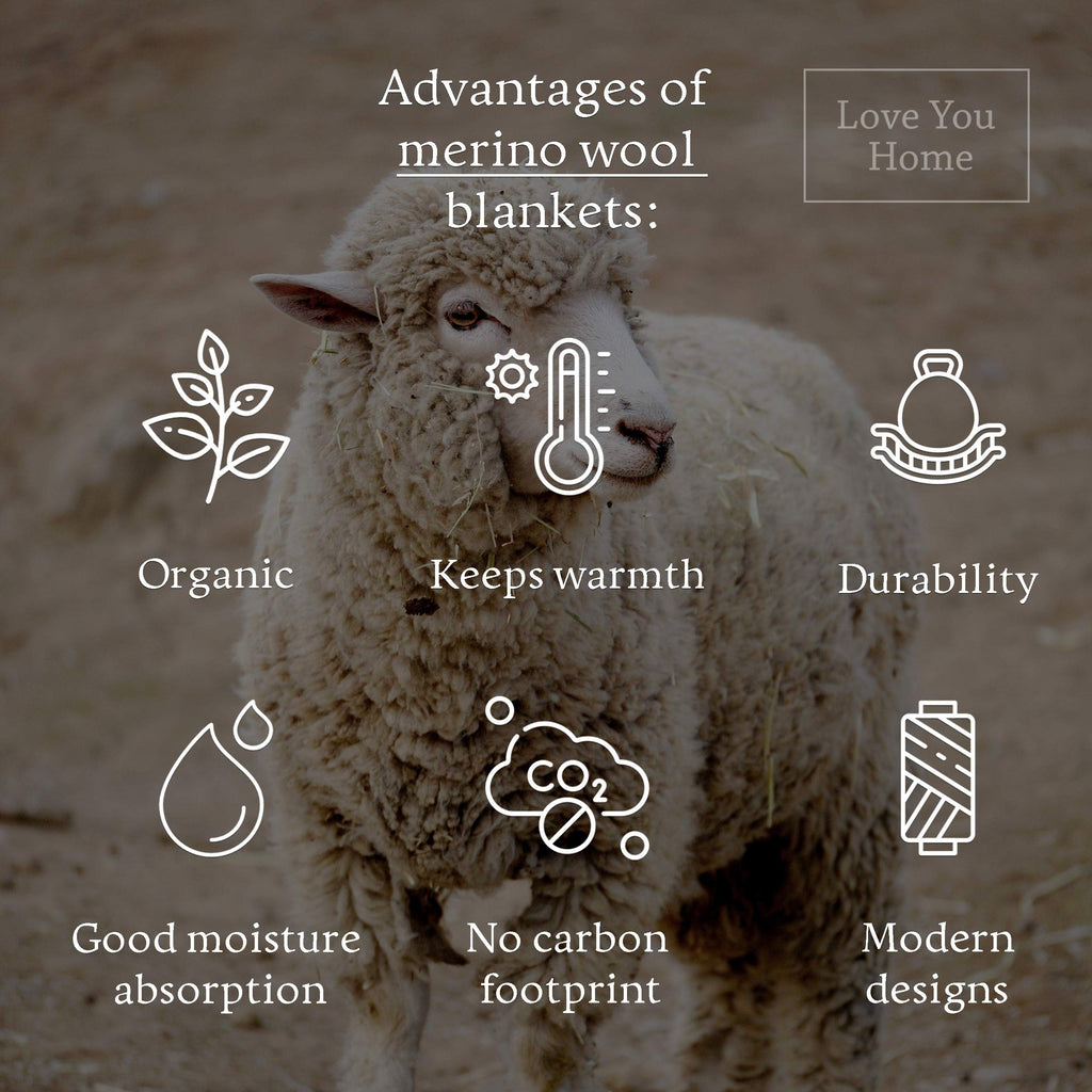 Blanket, Warm & Soft Throw for Bed & Couch, 55 x 79 in