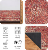 3x5 Rug - Machine Washable Entry Rug with Non-Slip Backing, Ideal