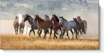 Rustic Horses Wall Art Decor: Western Farm Equine Canvas Picture Wild Animals Walking on Empty Grassland Farmhouse