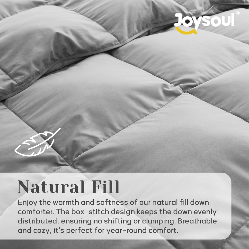 Queen Down Comforter - All Season Ultra Soft Goose Down & Feather Fiber Fill