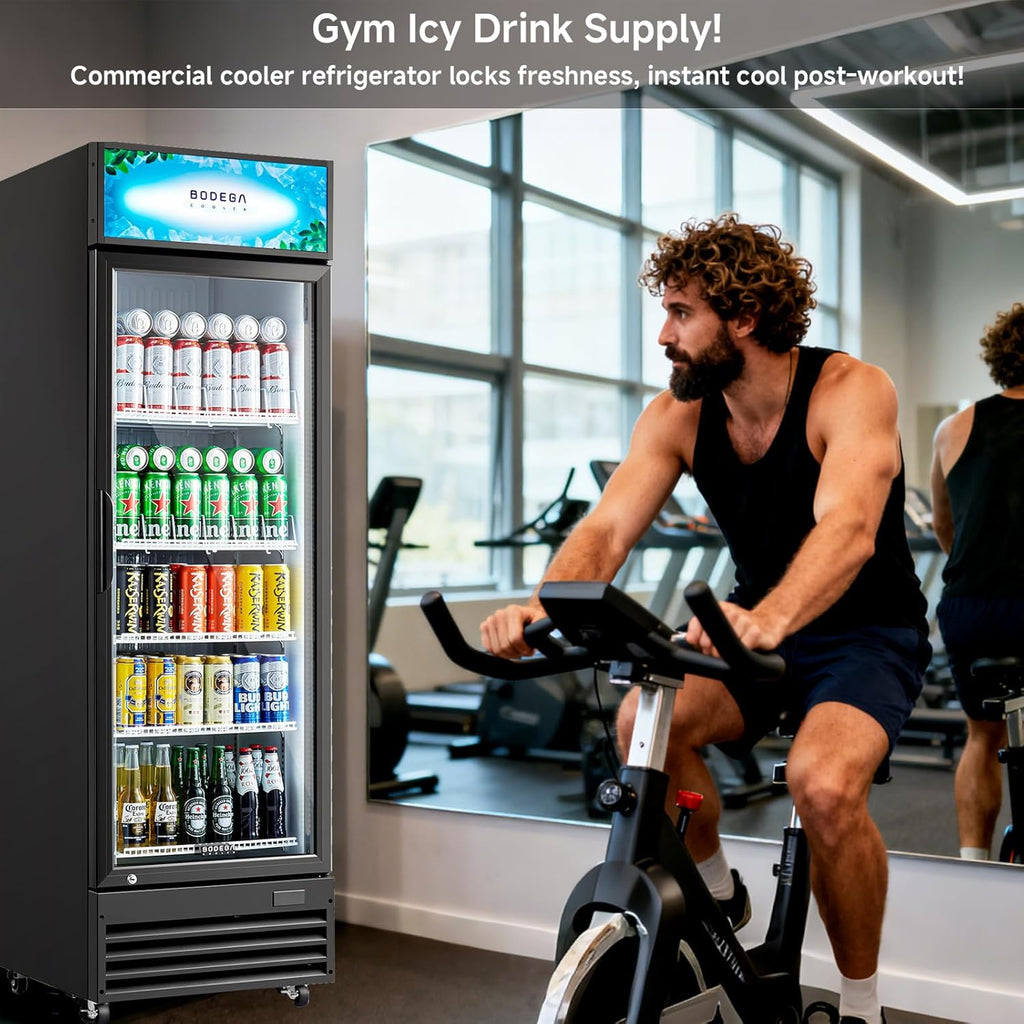 COOLER 255L/270 Qt Commercial Beverage Refrigerator | Glass Door Merchandiser Fr