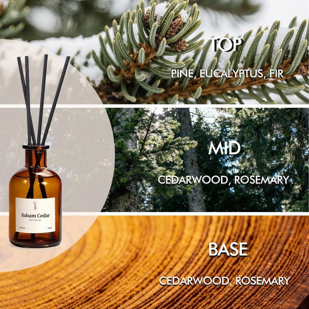 Balsam Cedar Reed Diffuser Set - Includes Reed Diffuser Sticks, 2 Pack Fragrance Oil and Glass Bottle, Reed Diffusers