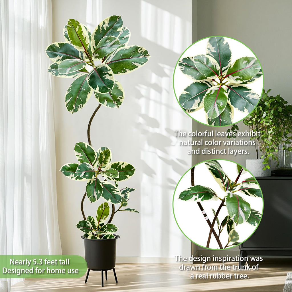 Artificial Variegated Rubber Tree 5.3FT