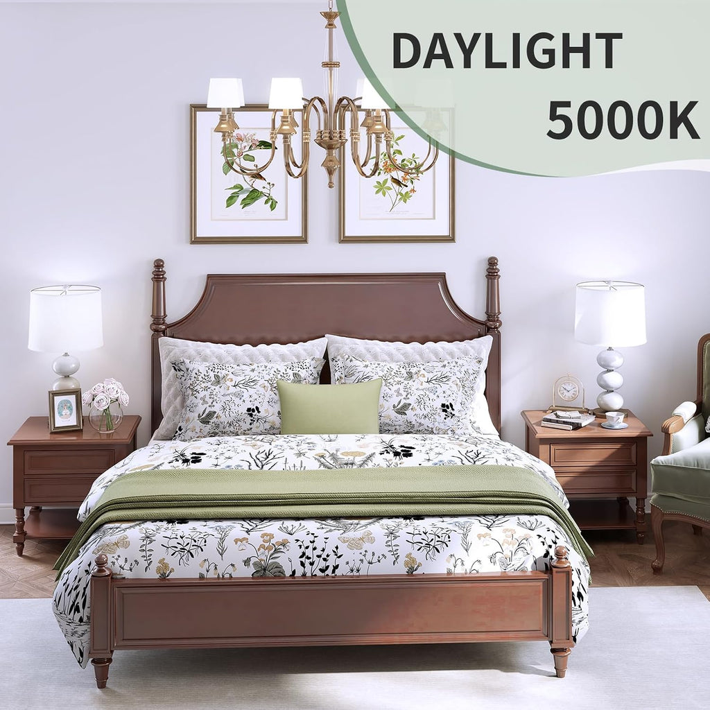 A19 LED Light Bulbs,60 Watt Equivalent Daylight 5000K with E26 Base,Efficient 9W,800 Lumens Non-Dimmable LED Bulbs
