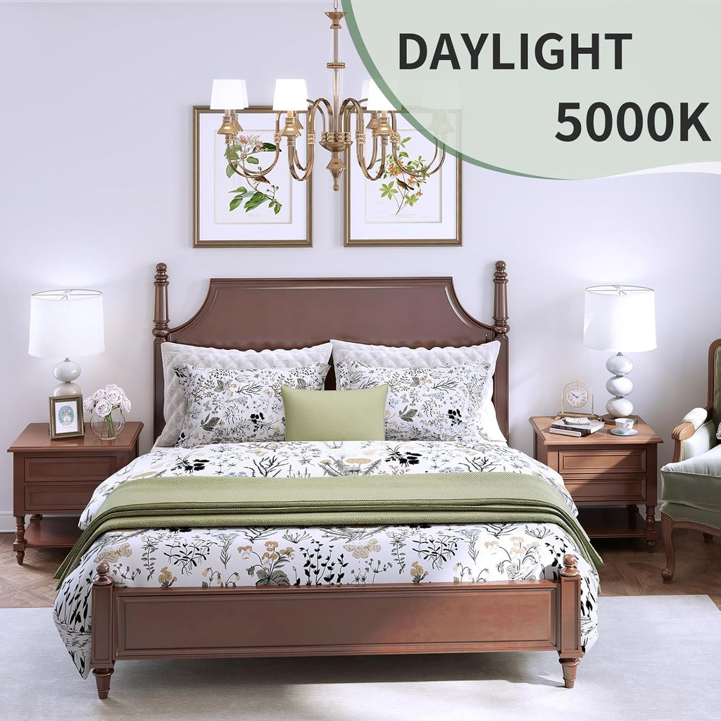6-Pack A19 LED Light Bulbs,60 Watt Equivalent Daylight 5000K with E26 Base,Efficient 9W,800 Lumens Non-Dimmable LED