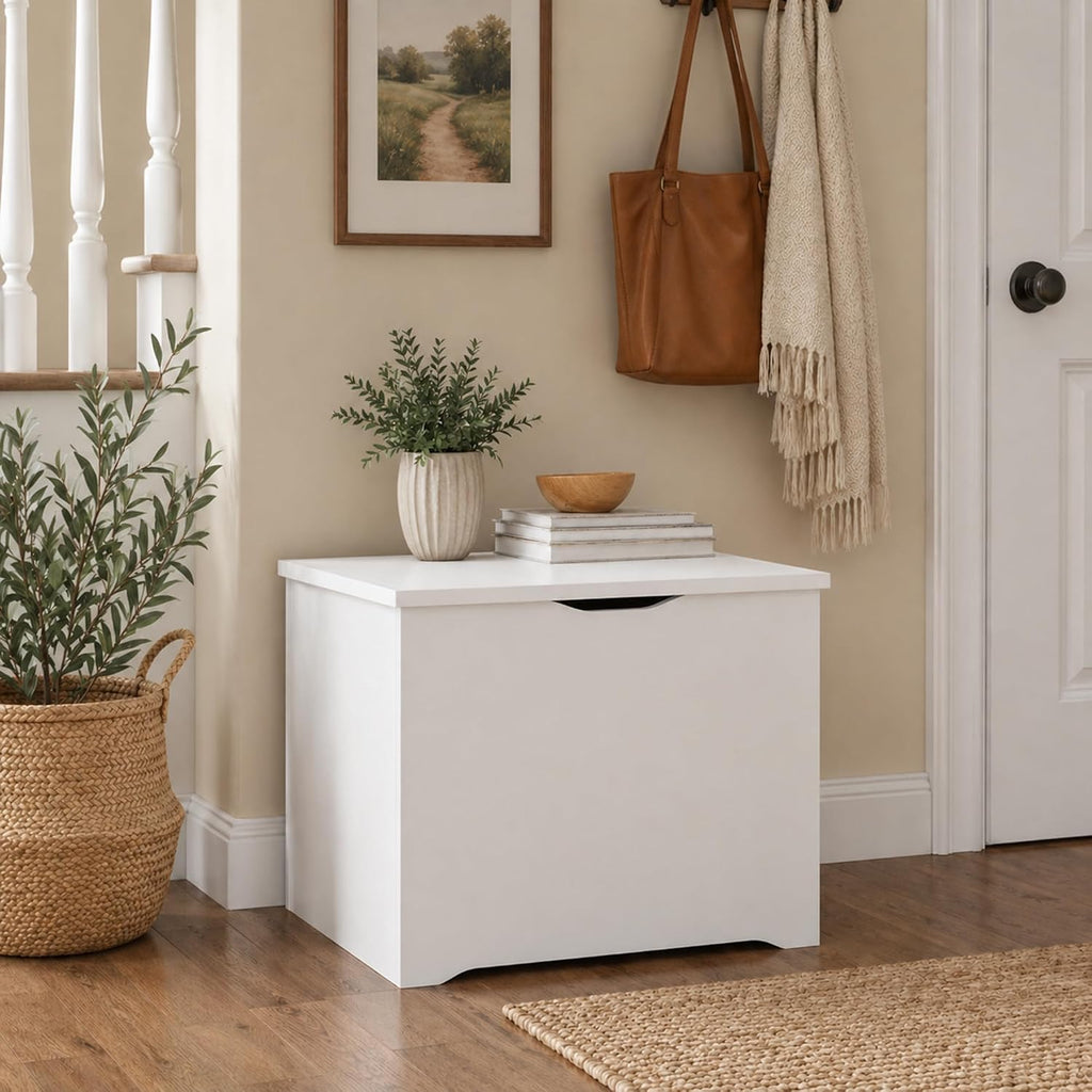Basic Storage Chest, Storage Bench with Safety Hinged Soft Closed Lid, Storage Box, 15.6 x 23.6 x 18, White