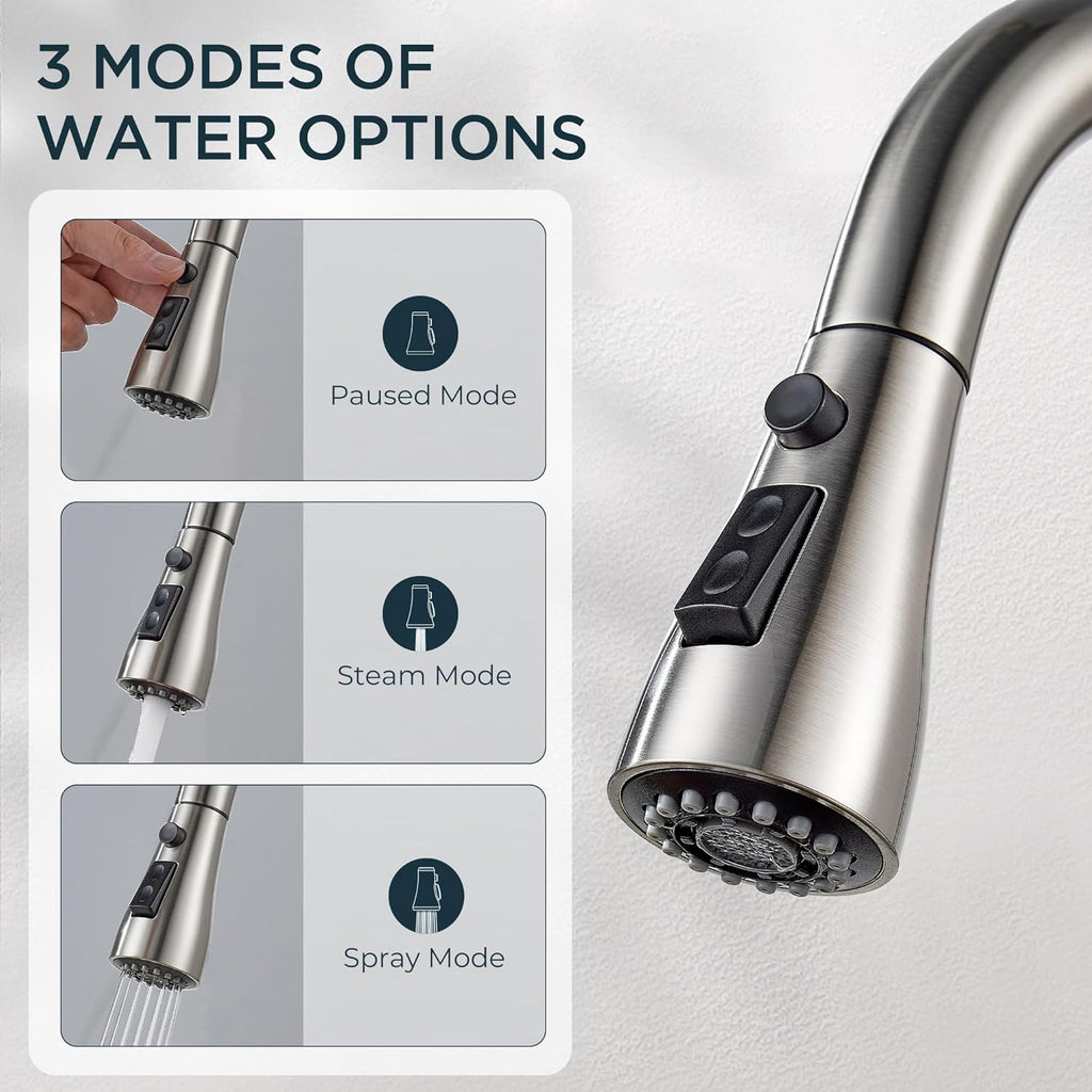 Kitchen Faucet with Pull Down Sprayer Brushed Nickel