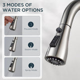Kitchen Faucet with Pull Down Sprayer Brushed Nickel