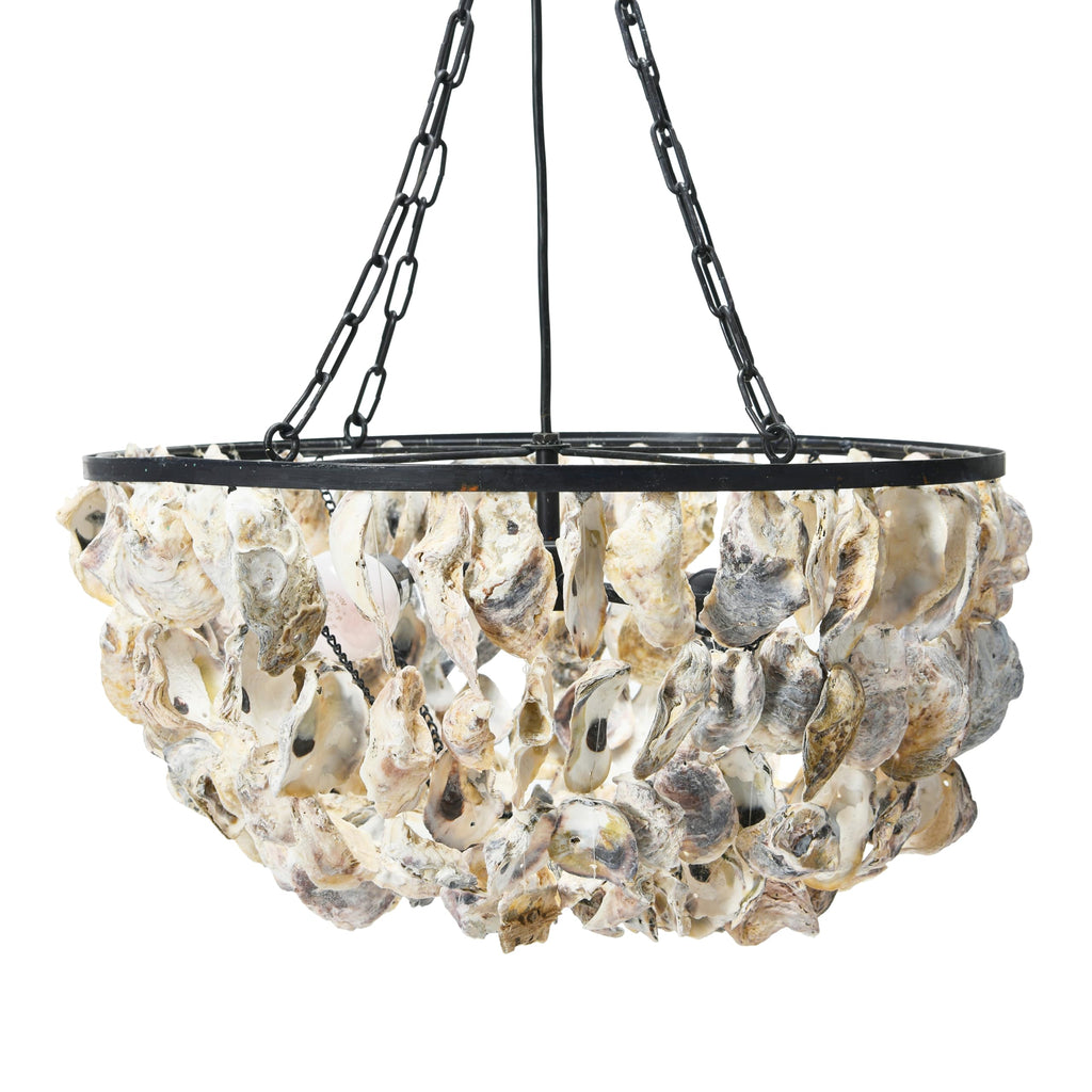 Round Oyster Shell Chandelier with 2 Lights