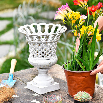 Cast Iron White Urn Planter - 10 Inches Hollow Trophy-Shaped Design