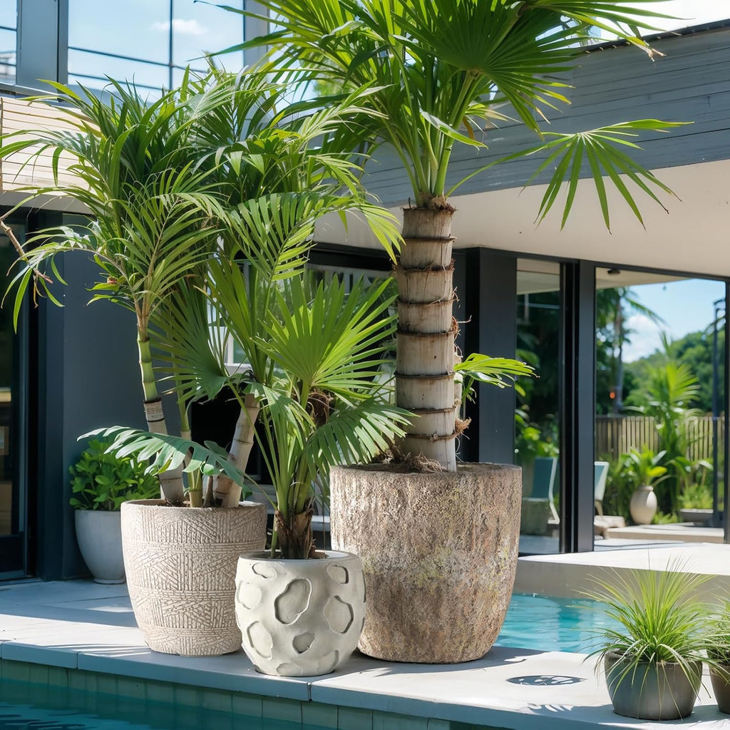 Round Concrete Style Planter Set of 3, Large Outdoor Flower Pots with Drainage, Stone Texture Plant Pots for Indoor