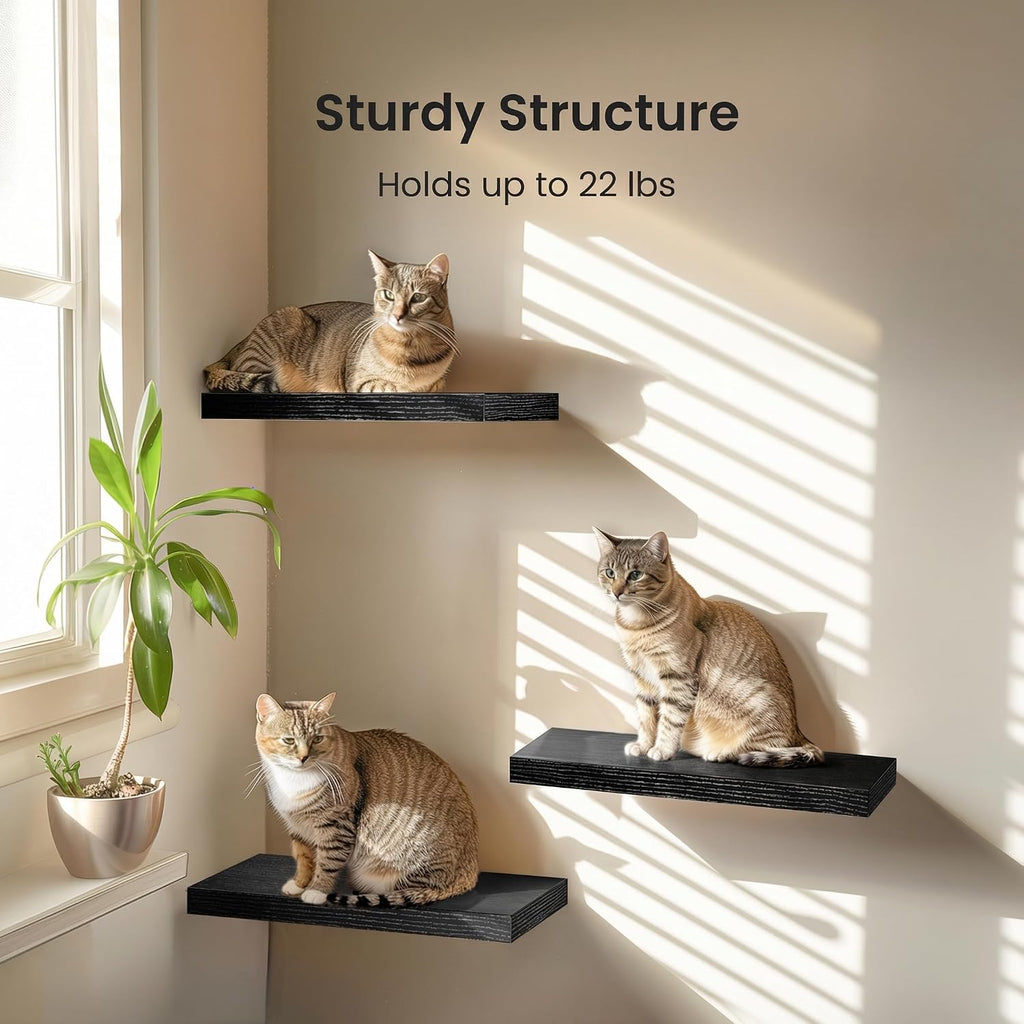 Floating Shelves Black, Wall Shelves with Invisible Brackets , Set of 3 - AMFS07