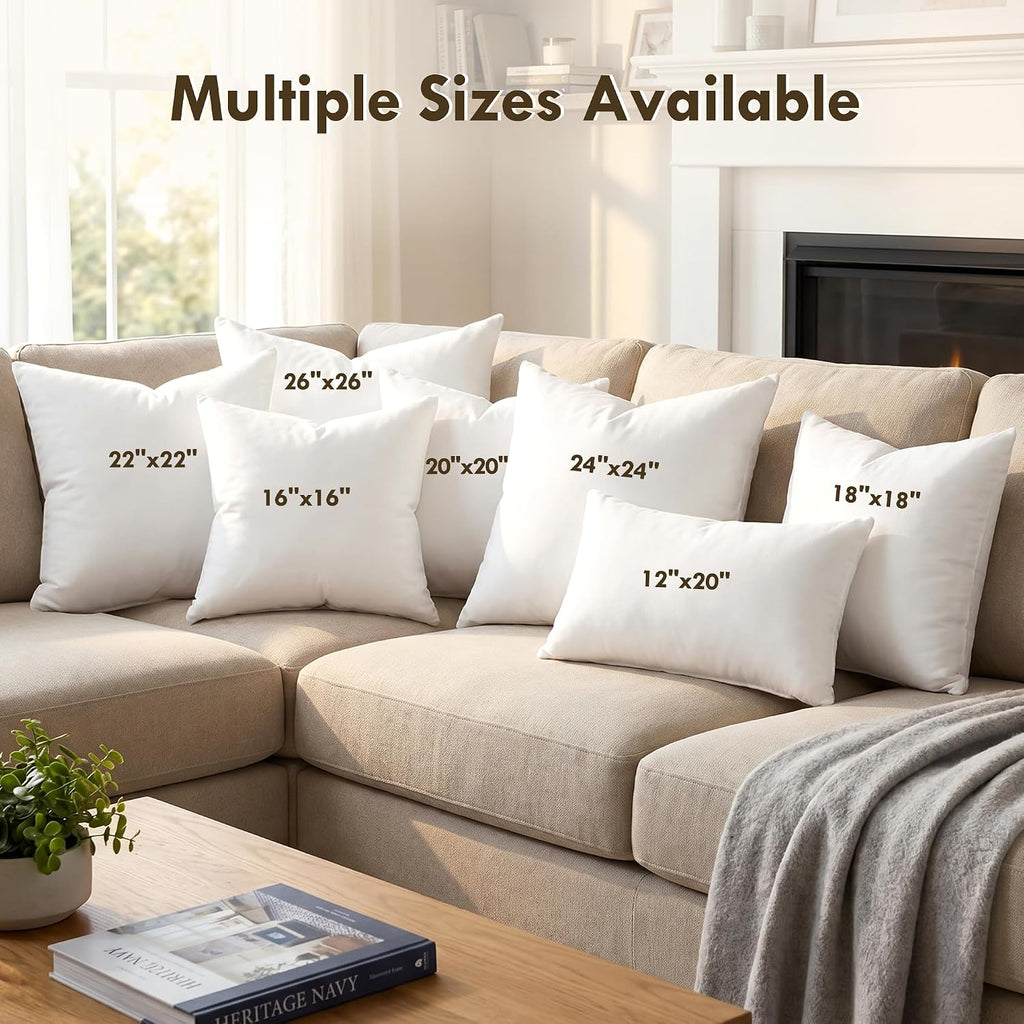 20 x 20 Throw Pillow Inserts for Couch & Sofa - Set of 4