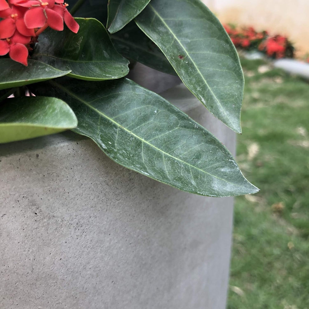 Large Round Bowl Weathered Concrete Planter 18" Dia, Outdoor | Rubber Plug for Indoor, Drainage for Garden