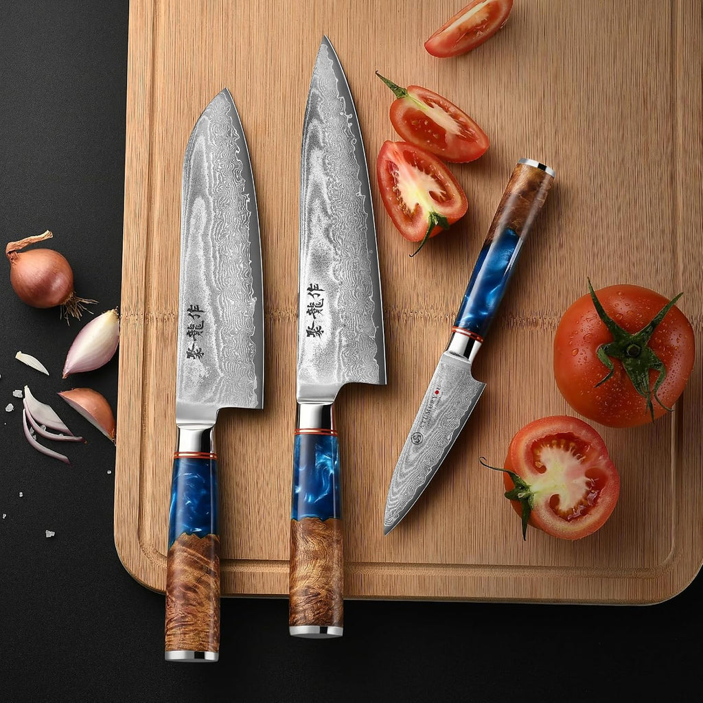 Japanese Chef Knife Set 3 Pcs, 67-Layer Damascus Kitchen Knife Set with VG10 Steel Core, Professional Sharp Damascus