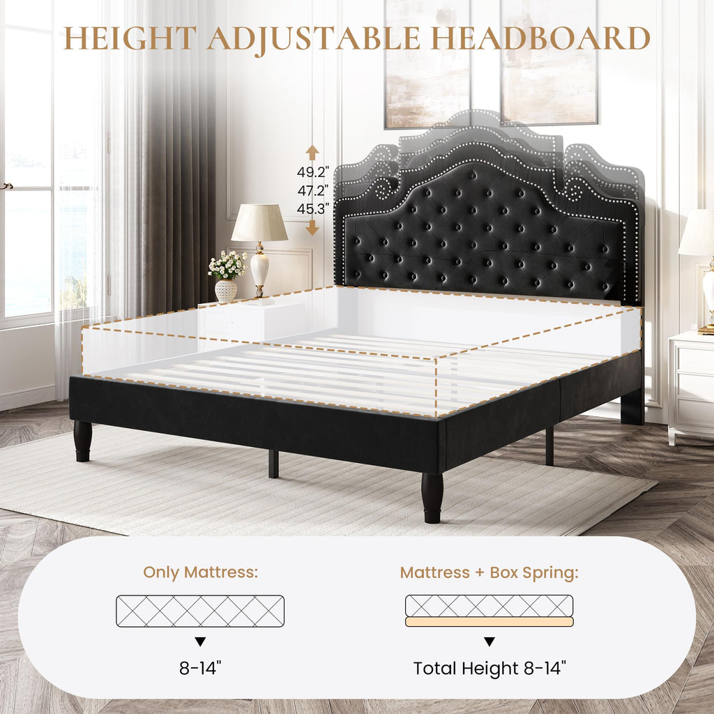 Queen Bed Frame with Adjustable Headboard/Velvet Upholstered/Diamond Button Tufted and Metal Studs/No Box Spring