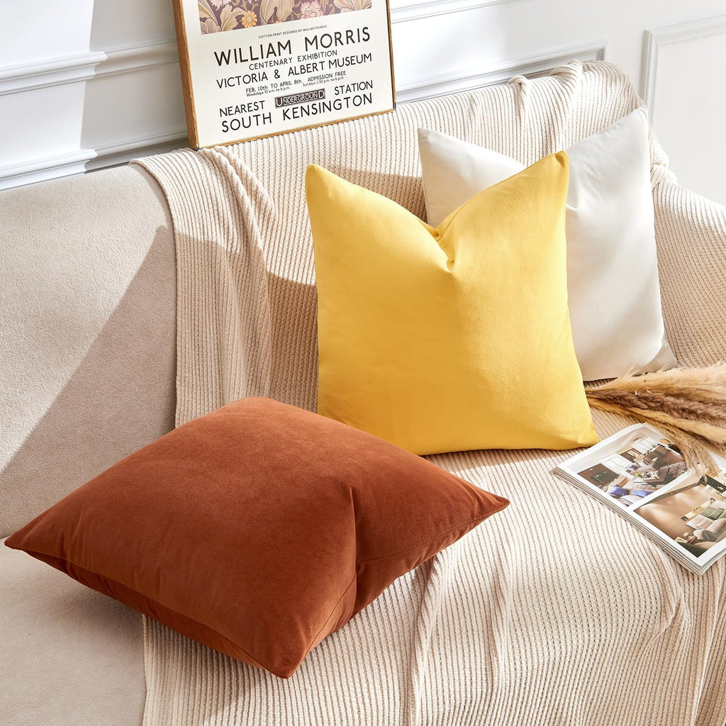 Throw Pillow Covers Rust Set of 2 18x18 Inch Pillow Covers, Soft Velvet Fall Decorative Cases, Home Boho Decor