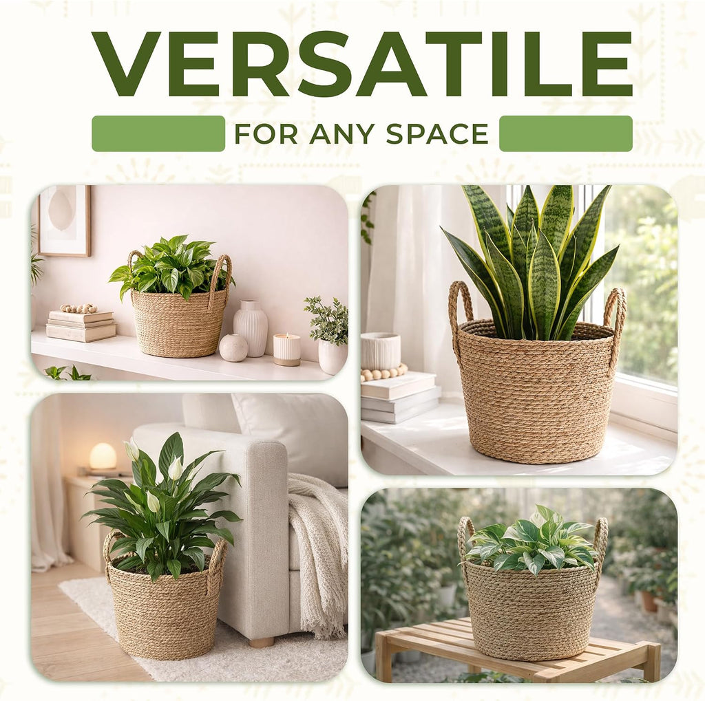Set of 2 Woven Seagrass Planter Baskets with Handles - Handwoven Plant & Flower Pots for Indoor or Outdoor Use